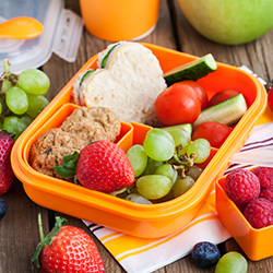 Bento Box Benefits  Discover the Advantages of Bento Lunch Box Containers  - PackIt